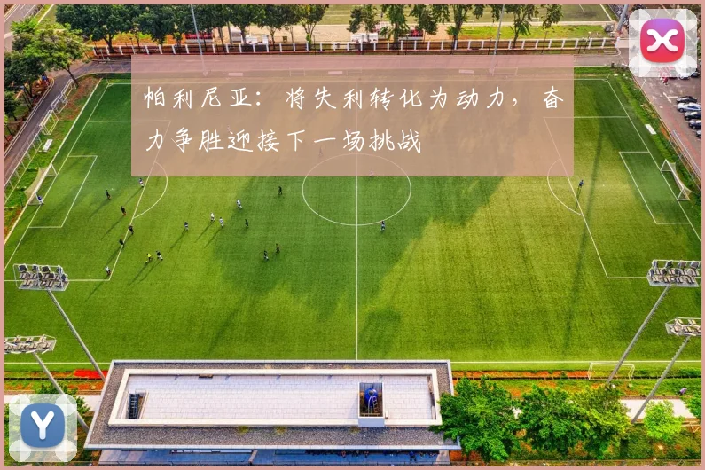 帕利尼亚：将失利转化为动力，奋力争胜迎接下一场挑战