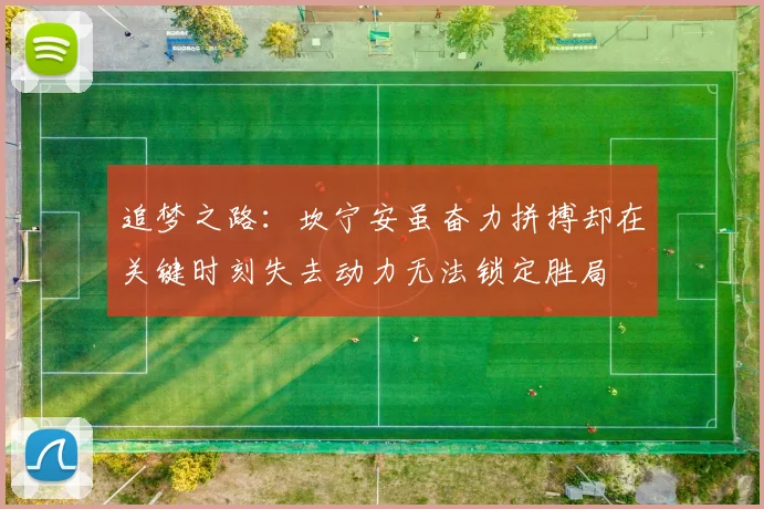 追梦之路：坎宁安虽奋力拼搏却在关键时刻失去动力无法锁定胜局