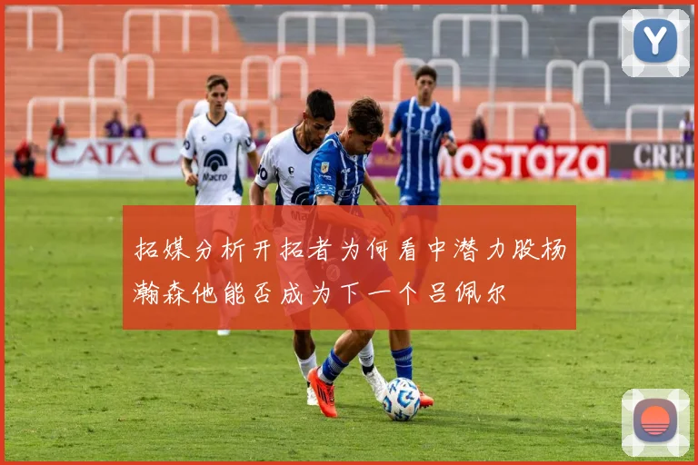拓媒分析开拓者为何看中潜力股杨瀚森他能否成为下一个吕佩尔